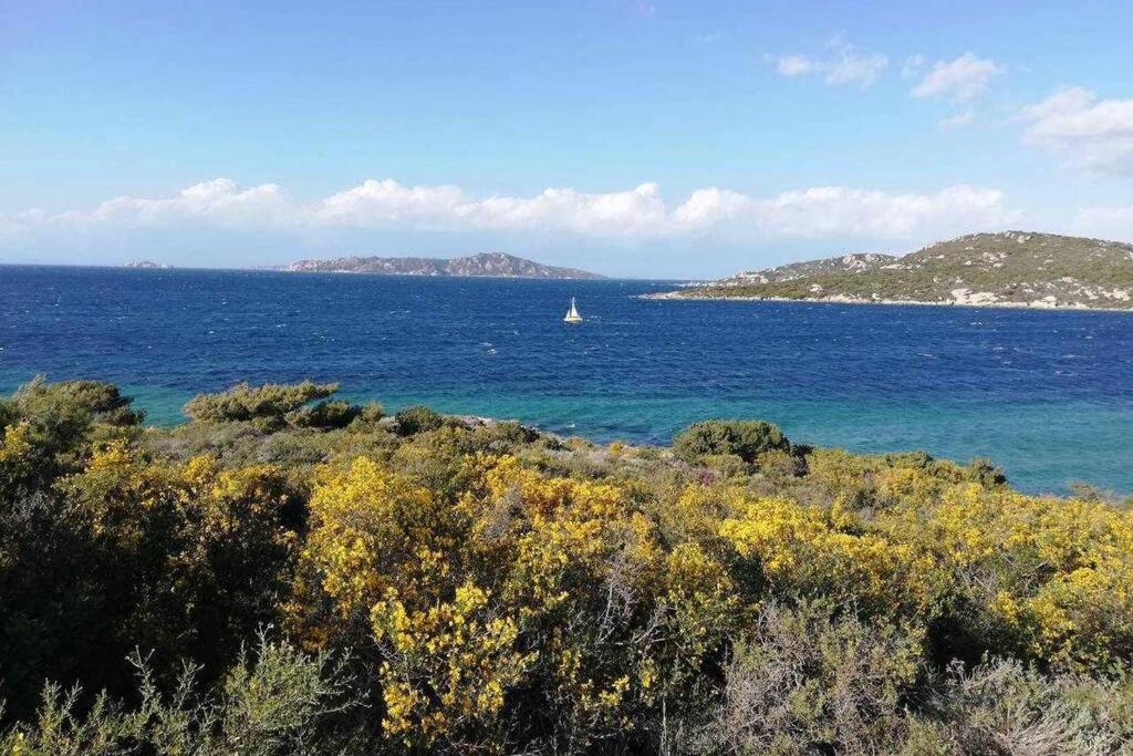 Casa Di Lu' - Bilocale Con Giardino - Porto Pollo Daire Dış mekan fotoğraf