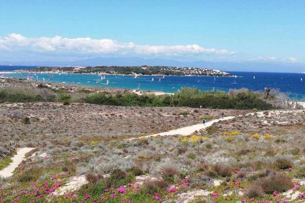Casa Di Lu' - Bilocale Con Giardino - Porto Pollo Daire Dış mekan fotoğraf