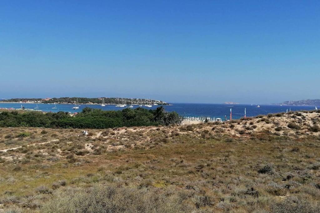 Casa Di Lu' - Bilocale Con Giardino - Porto Pollo Daire Dış mekan fotoğraf