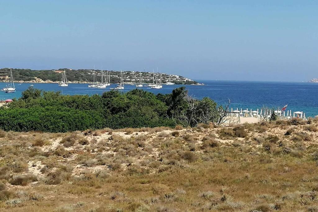 Casa Di Lu' - Bilocale Con Giardino - Porto Pollo Daire Dış mekan fotoğraf